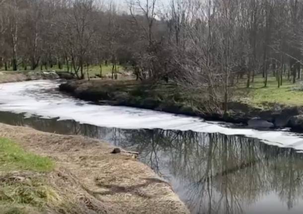 Distesa di schiuma bianca sul fiume Olona