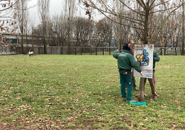 Un “Giardino dei Ciliegi” pronto a sbocciare a Limbiate