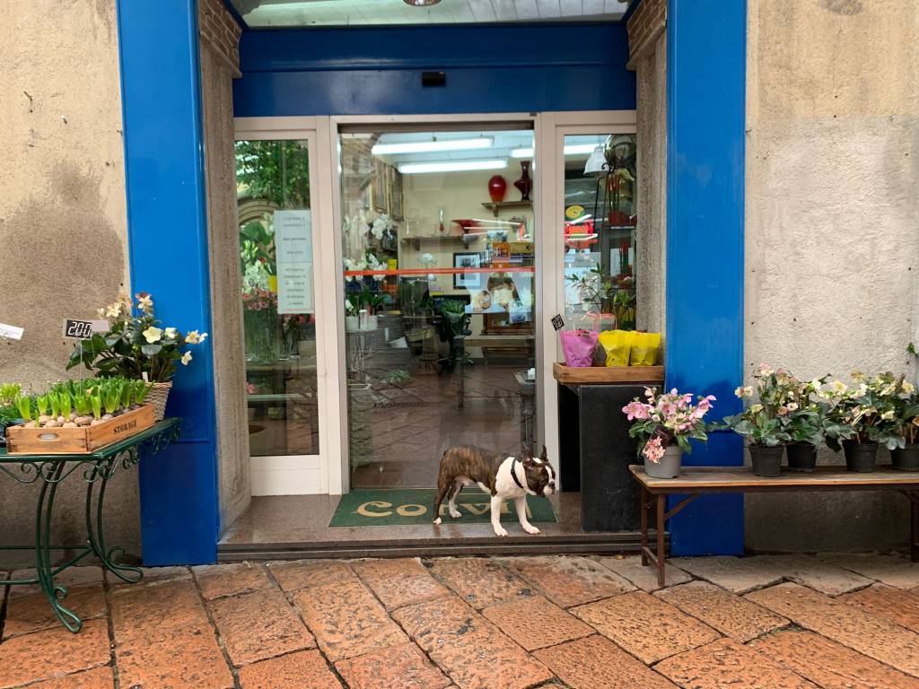 Varese in zona gialla