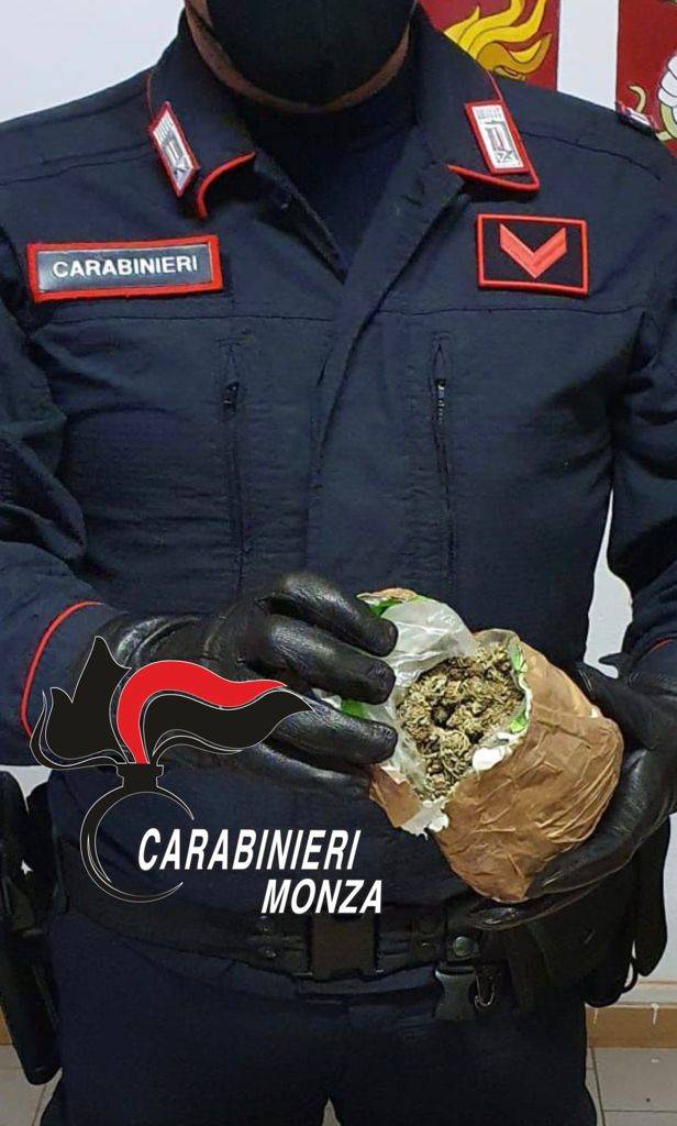 15 kg di marijuana nascosti sotto le foglie ai piedi di un albero a Misinto
