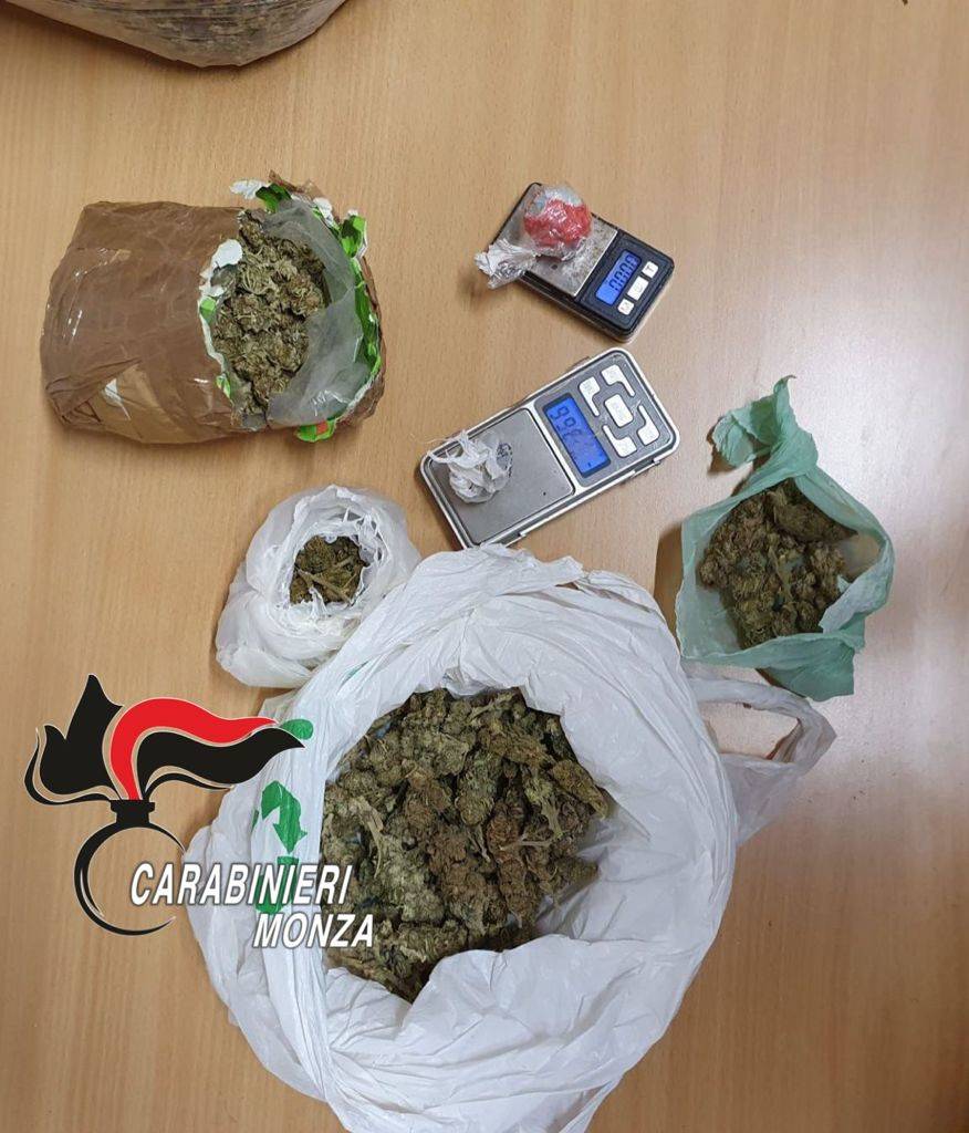 15 kg di marijuana nascosti sotto le foglie ai piedi di un albero a Misinto