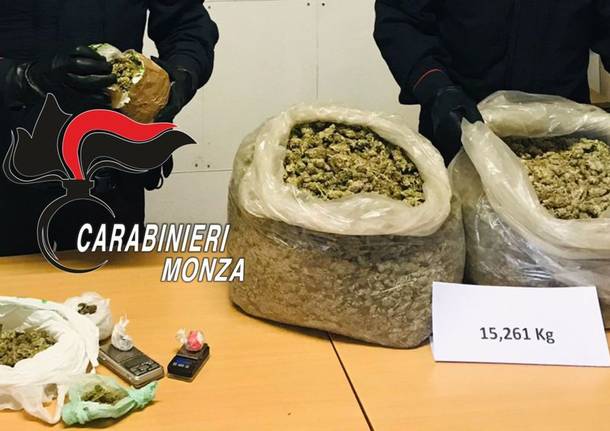 15 kg di marijuana nascosti sotto le foglie ai piedi di un albero a Misinto