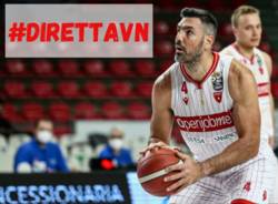 basket direttavn 