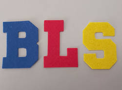 BLS Srl