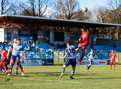 calcio pro patria albinoleffe