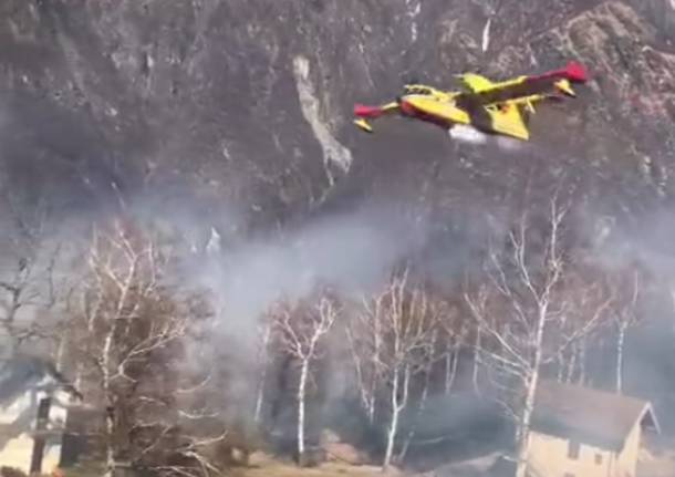 canadair ornavasso