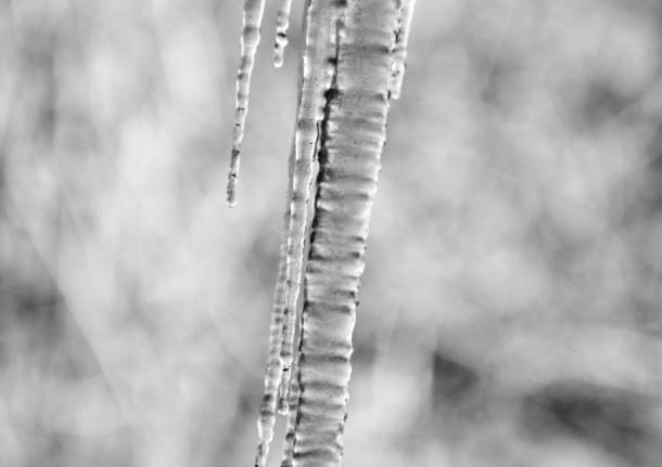 Winter’s swords