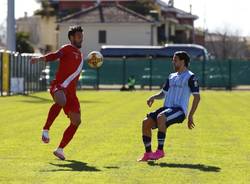 Serie C: Albinoleffe - Pro Patria