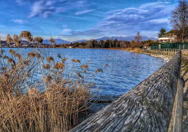 Foto del giorno 9 marzo 2021 lago di comabbio