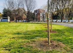 Garbagnate dà un volto nuovo alla città con quasi 400 nuovi alberi 