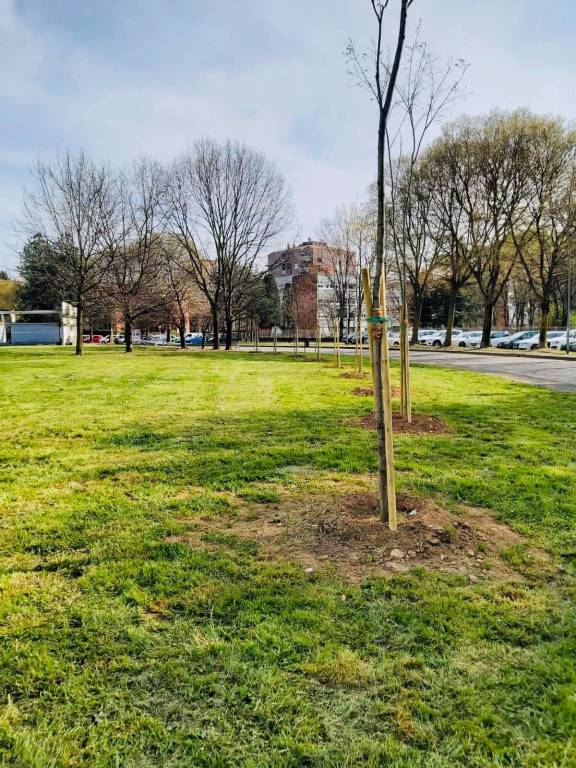 Garbagnate dà un volto nuovo alla città con quasi 400 nuovi alberi 