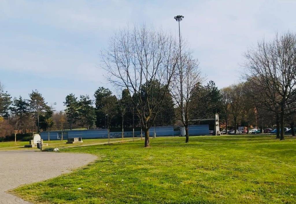 Garbagnate dà un volto nuovo alla città con quasi 400 nuovi alberi 