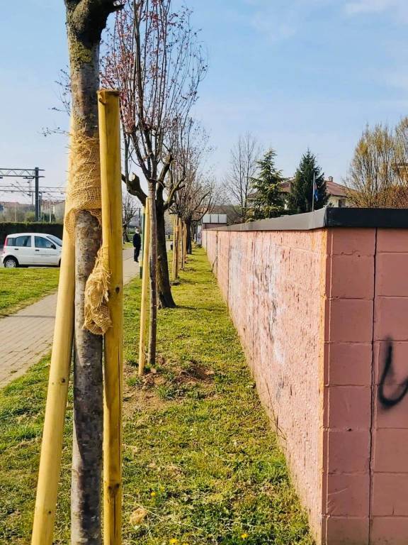 Garbagnate dà un volto nuovo alla città con quasi 400 nuovi alberi 