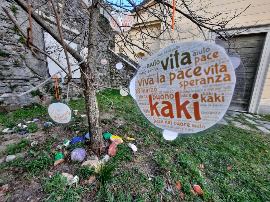 I messaggi di pace dei bambini per il 21° compleanno del Kaki di Casciago