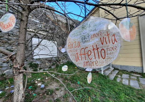 I messaggi di pace dei bambini per il 21° compleanno del Kaki di Casciago