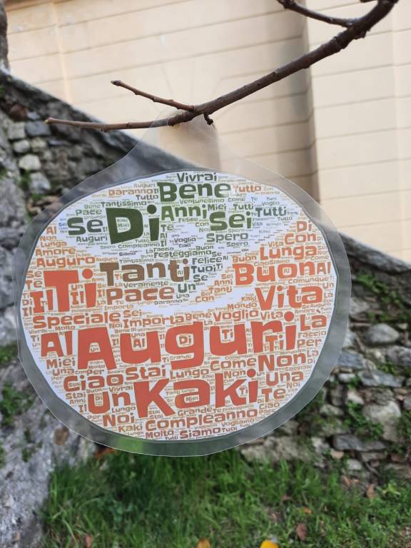 I messaggi di pace dei bambini per il 21° compleanno del Kaki di Casciago