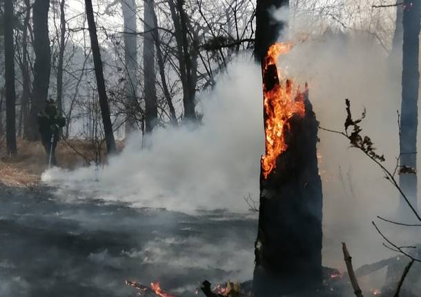 Incendio Coarezza marzo 2021