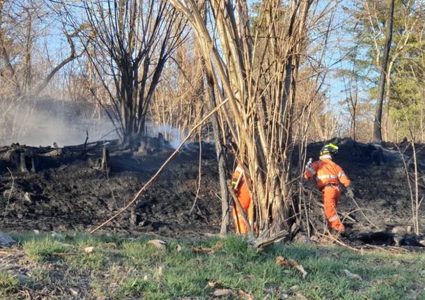 L’incendio boschivo di Cugliate Fabiasco