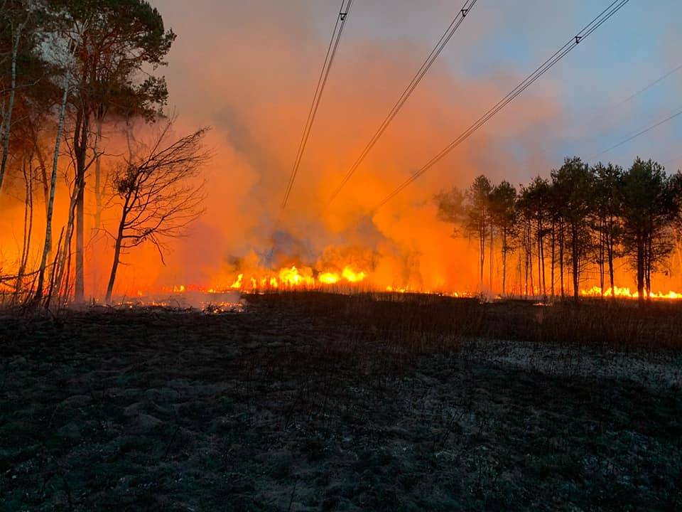Incendio nel Parco delle Groane, 25 mila metri quadri di sottobosco in fumo
