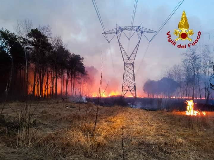 Incendio nel Parco delle Groane, 25 mila metri quadri di sottobosco in fumo