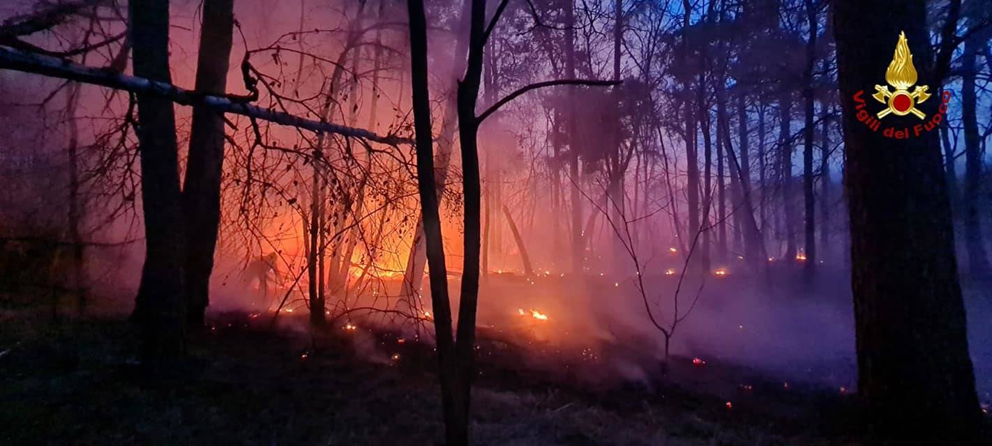 Incendio nel Parco delle Groane, 25 mila metri quadri di sottobosco in fumo