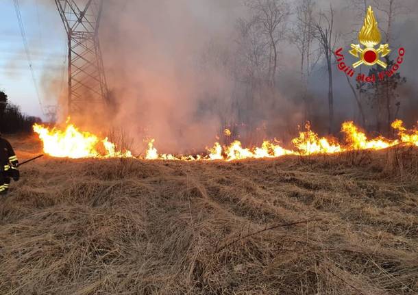 incendio parco delle groane