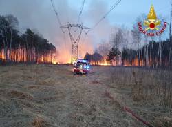 incendio parco delle groane