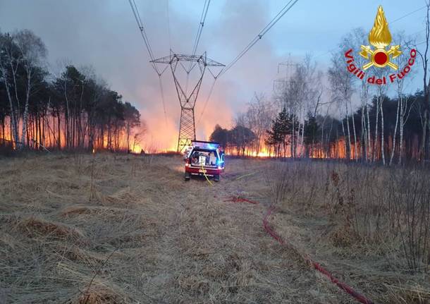 incendio parco delle groane