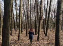 La stanza del Bosco al Parco Alto Milanese