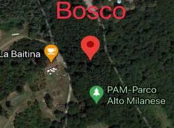 La stanza del Bosco al Parco Alto Milanese