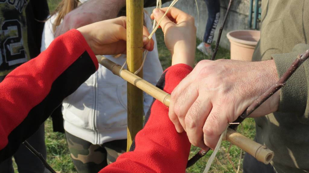 Laboratori green alla primaria di Morosolo