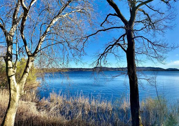 Lago di Varese da Gavirate 