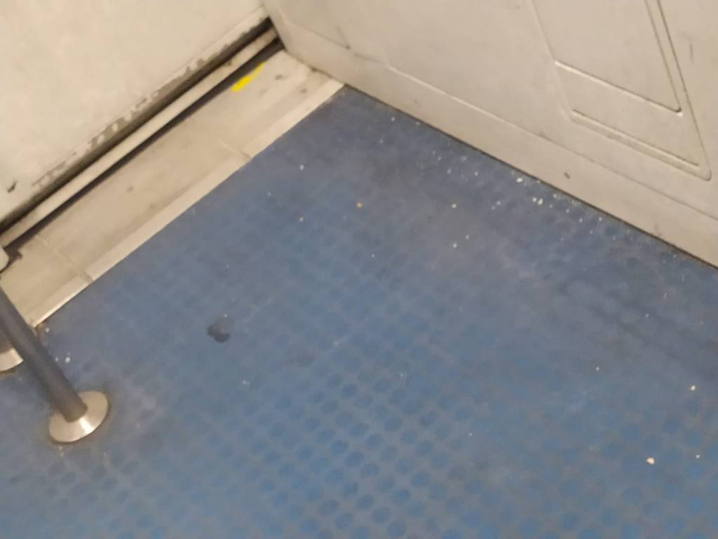 Manca la pulizia sui treni, la denuncia sui social: "Meglio non sedersi. È indecoroso"