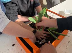orto e giardino sensoriale alla primaria di Cazzago