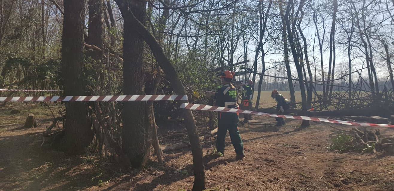 Parco Alto Milanese fuochi e affollamenti