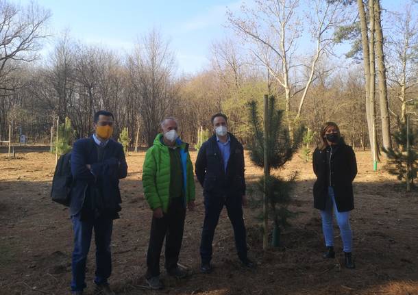 Parco Alto Milanese nuove piantumazioni