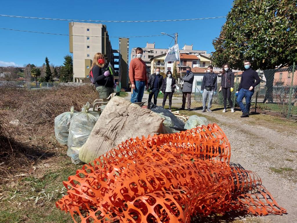 Più Gallarate pulizie Azalee