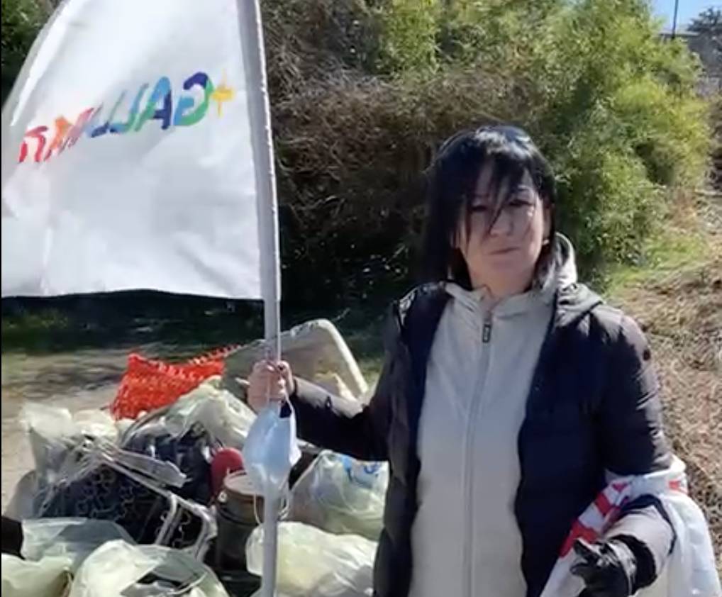 Più Gallarate pulizie Azalee