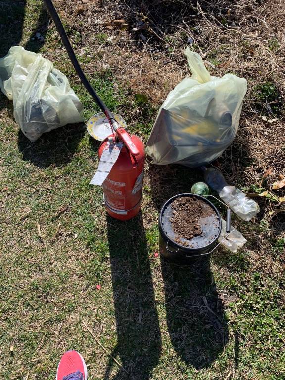 Più Gallarate pulizie Azalee