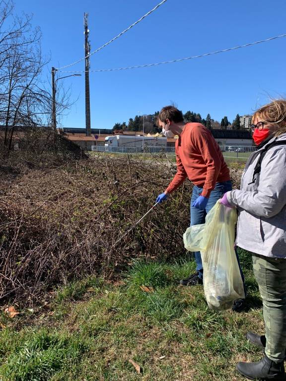 Più Gallarate pulizie Azalee