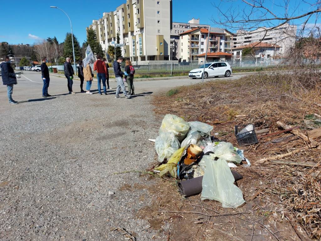 Più Gallarate pulizie Azalee