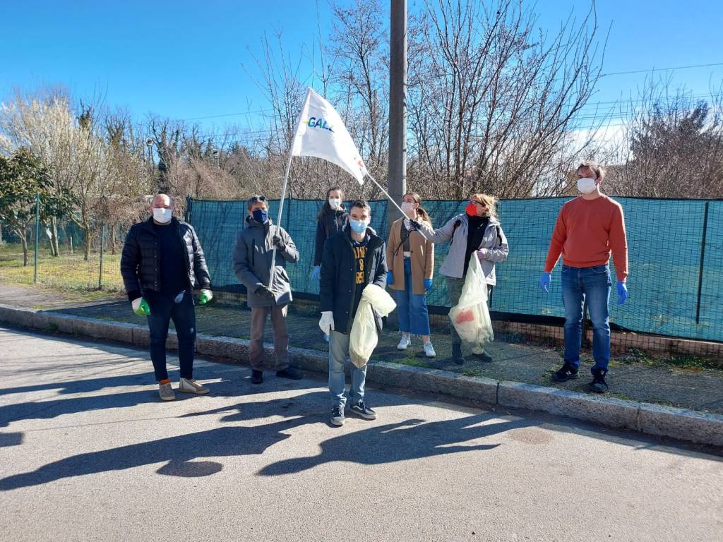 Più Gallarate pulizie Azalee