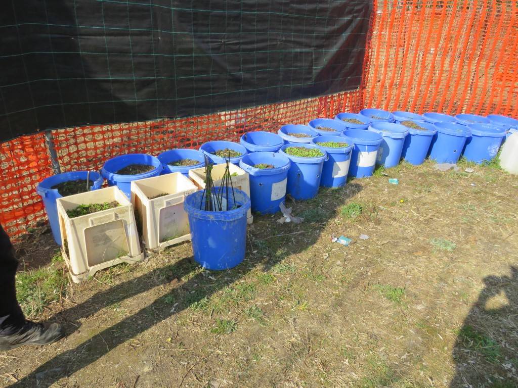 Pollaio nell'ex Pensotti di Legnano - Sgombero della Polizia Locale 