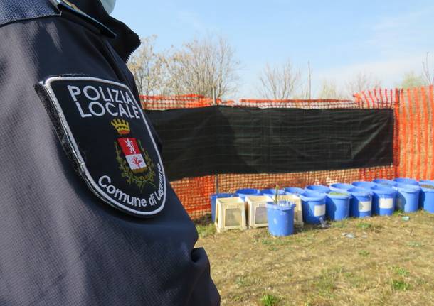 Pollaio nell'ex Pensotti di Legnano - Sgombero della Polizia Locale 