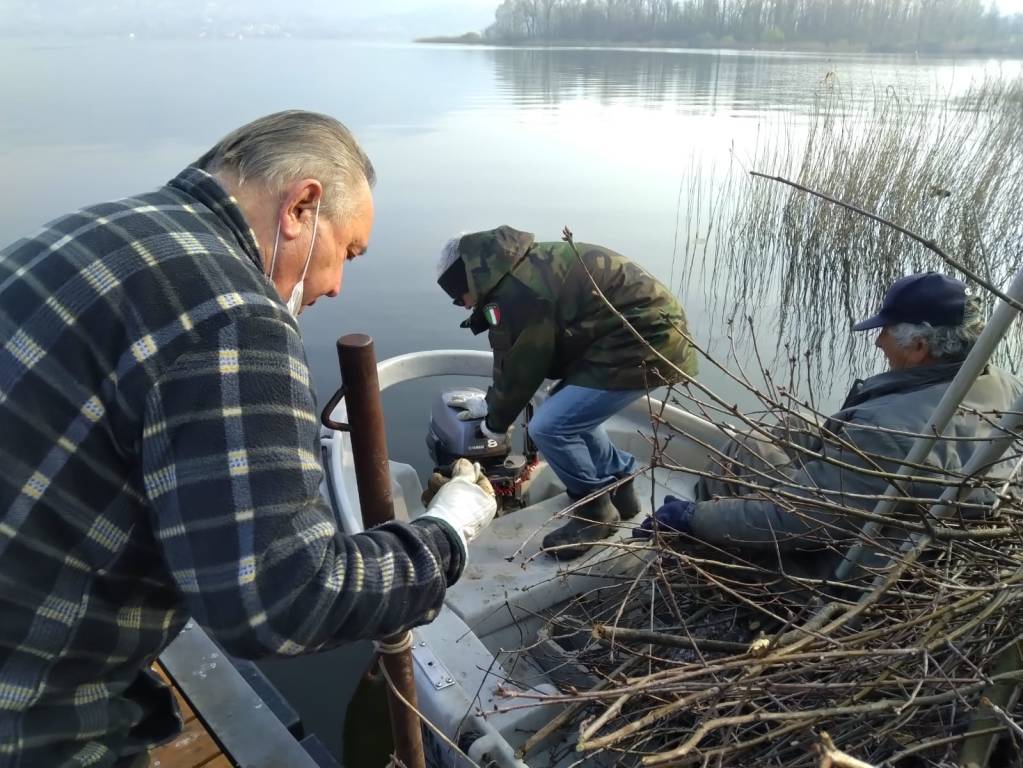 Posa fascine sul Lago di Varese