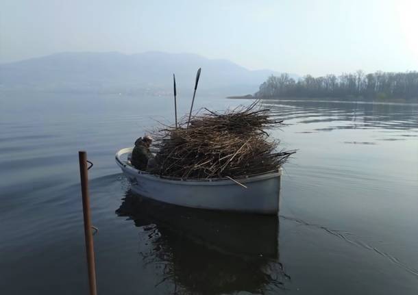 La posa delle fascine sul Lago di Varese