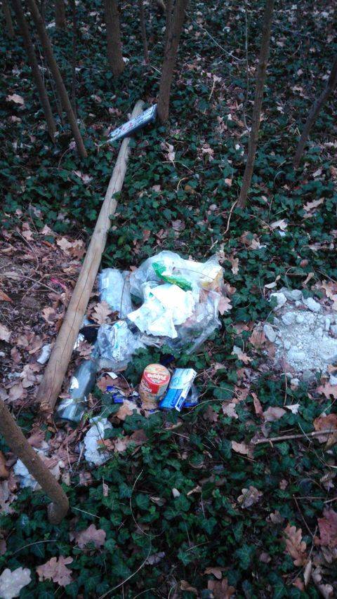 Rifiuti in via Rodari  tra Busto Arsizio e Verghera
