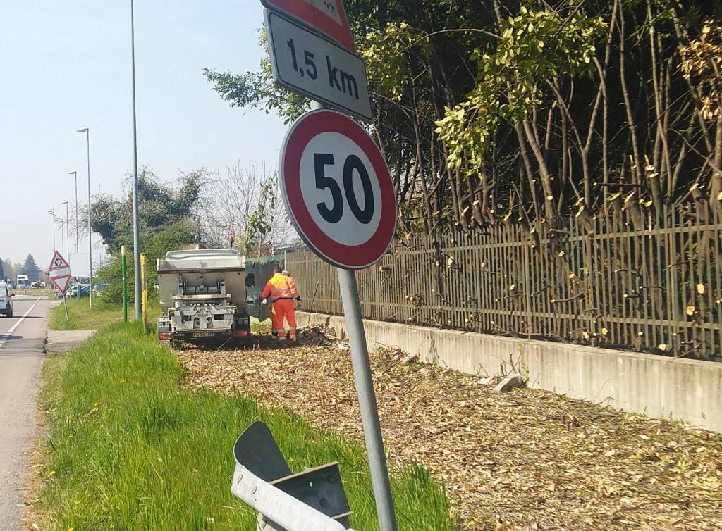 Rifiuti raccolti nel Parco Alto Milanese 29 marzo