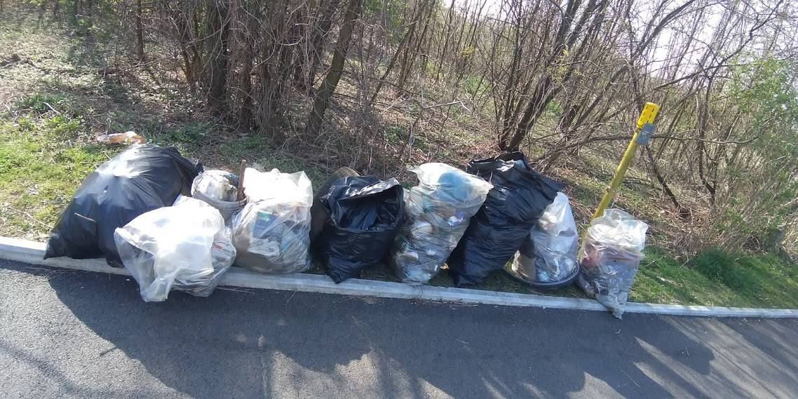 Rifiuti raccolti nel Parco Alto Milanese 29 marzo
