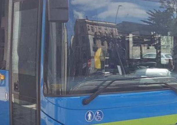 bus